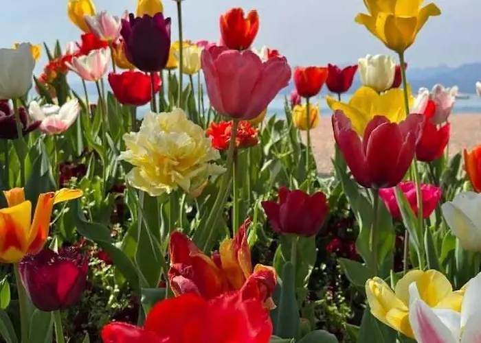 San Zeno - Vicino Centro,lago Parcheggio バルドリーノ