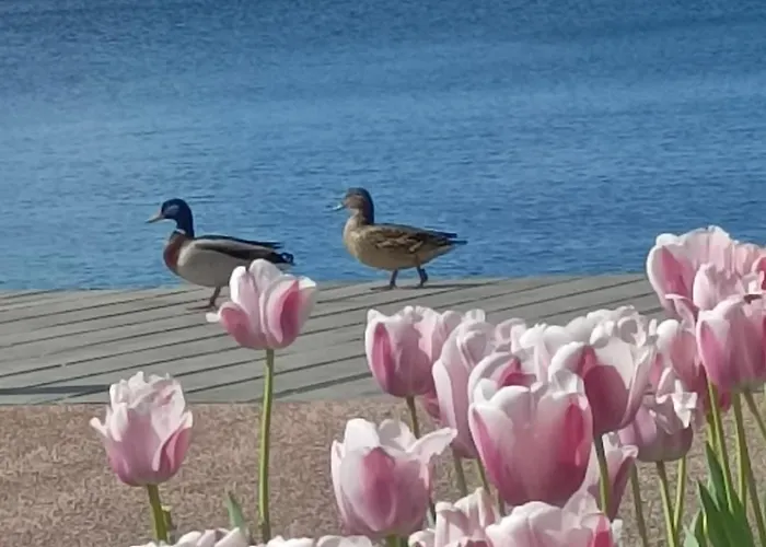 San Zeno - Vicino Centro,lago Parcheggio バルドリーノ
