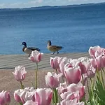 San Zeno - Vicino Centro,lago Parcheggio *