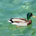 Daire San Zeno - Vicino Centro,lago Parcheggio Bardolino