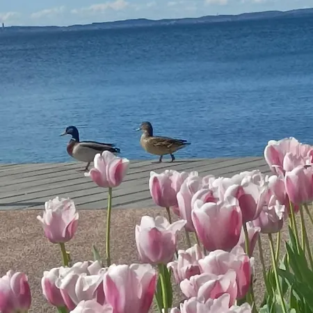 Apartment San Zeno - Vicino Centro,lago Parcheggio
